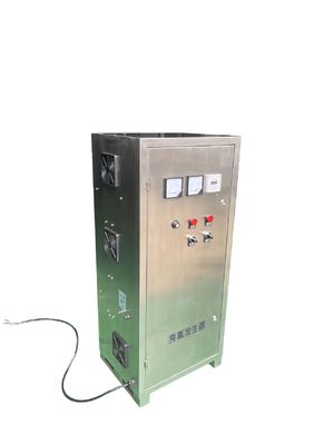 304SS Air Source Ozone Generator Water Cooled Ozone Equipment Industrial 10g 100g