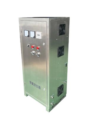 304SS Air Source Ozone Generator Water Cooled Ozone Equipment Industrial 10g 100g