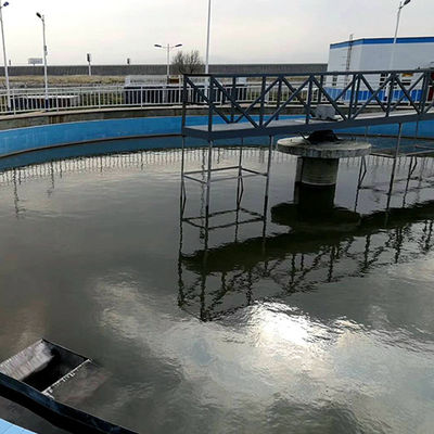 Stainless Steel Half Bridge Peripheral Drive Sludge Scraper Sedimentation Tank