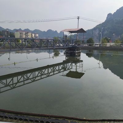 Half Bridge Sludge Scraper Equipment Peripheral Drive Carbon steel
