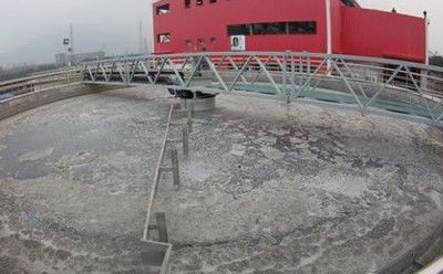 Peripheral Transmission Sludge Scraper System , Stainless Steel Bottom Sludge Scraper